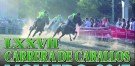  Turismo Cantabria - Año Jubilar Lebaniego - Carrera de Caballos de Molledo- Molledo- Deporte- 2017- Fiesta de Interés Turístico Regional 