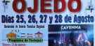 Turismo Cantabria - Turismo Cultural - Año Jubilar Lebaniego - Ojedo- San Tirso- Fiesta de Interes Regional