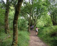 Etapa 1. San Vicente de la Barquera-Cades. En marcha por Senda Fluvial del Nansa