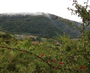 Vistas naturaleza en Camino Lebaniego